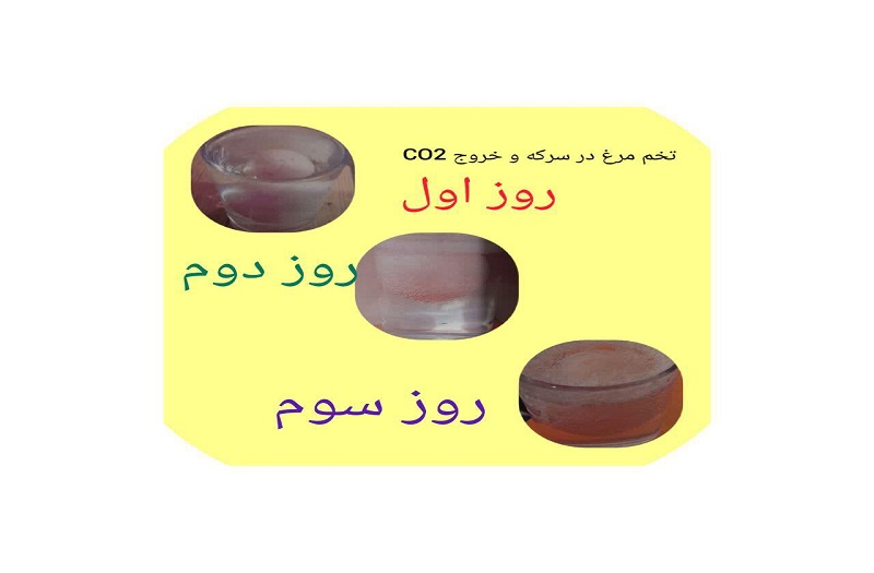 انجام آزمایش های علوم توسط دبیر توانمند علوم دبیرستان نجمه